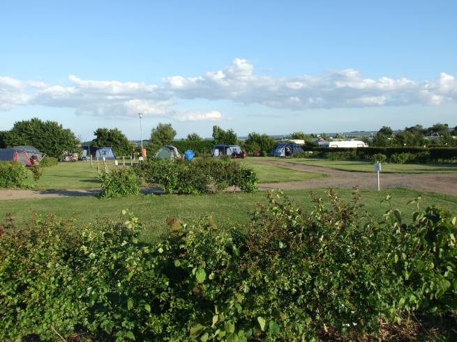 Site-2.jpg