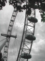 eye