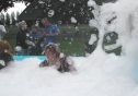 260pennysuds