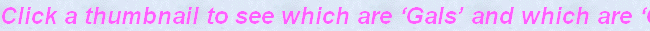 Click a thumbnail to see which are ‘Gals’ and which are ‘Guys’