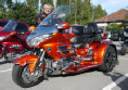 1287 Gold Trike